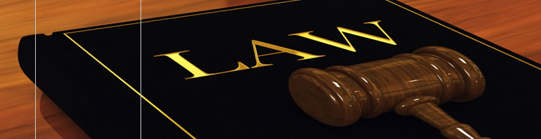 Florida Driving Records