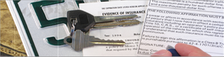 Florida Driving Records